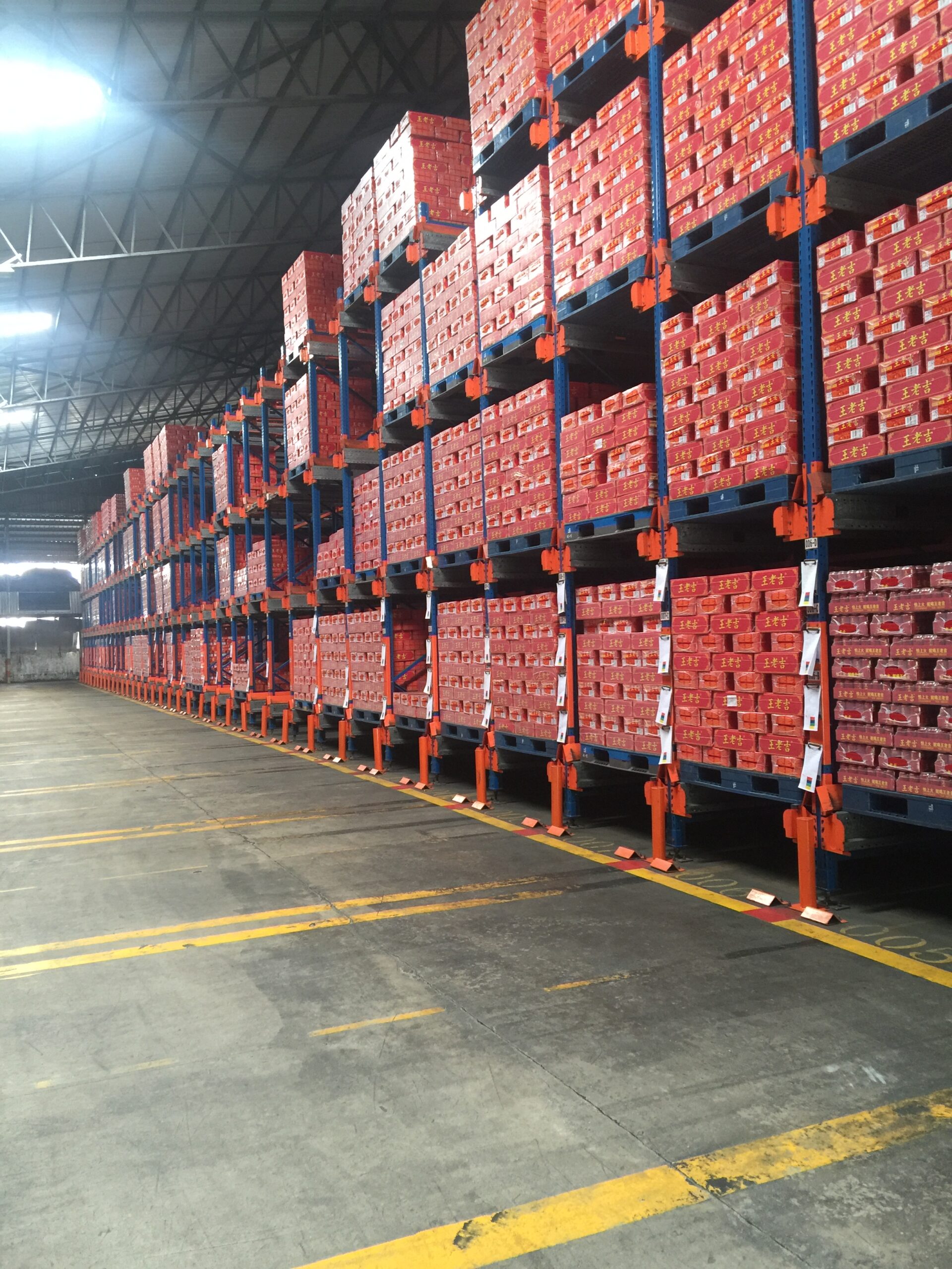 Radio Shuttle Racking: High-Density Intelligent Warehousing Solution